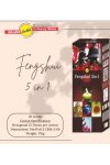 Toptan sreevani hexagon çubuk tütsü fengshui 5in1