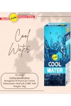 Toptan sreevani hexagon çubuk tütsü cool water