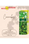 Toptan sreevani hexagon çubuk tütsü cannabis